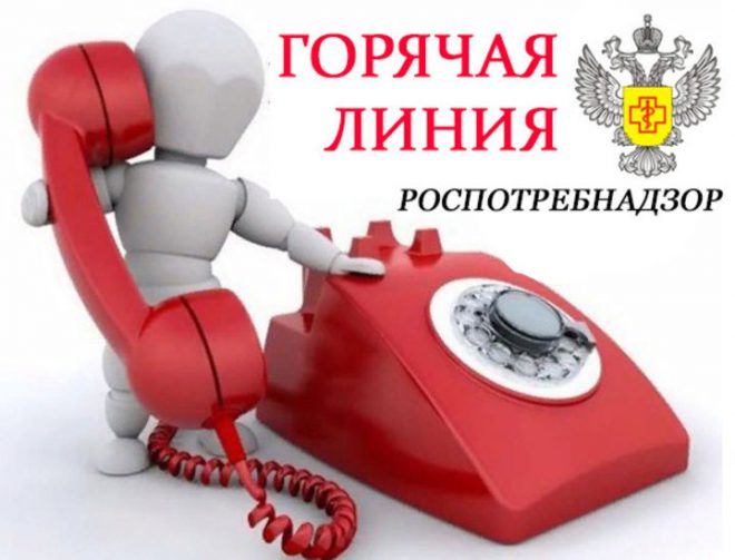 Горячая линия!